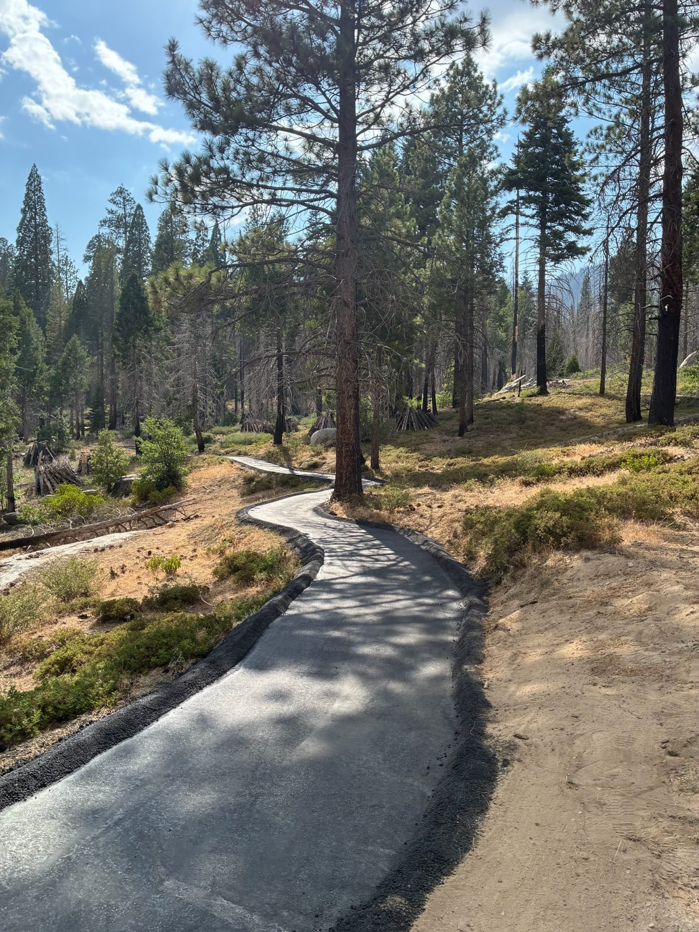 Completed ADA-accessible paved trail through the Freeman Giant Sequoia Grove, Sequoia National Forest