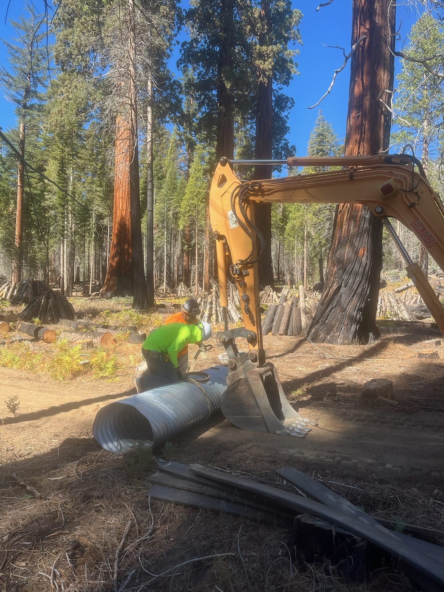 CA Mathes crew rigging a CMP culvert for replacement among giant sequoias on the Bush Loop Trail